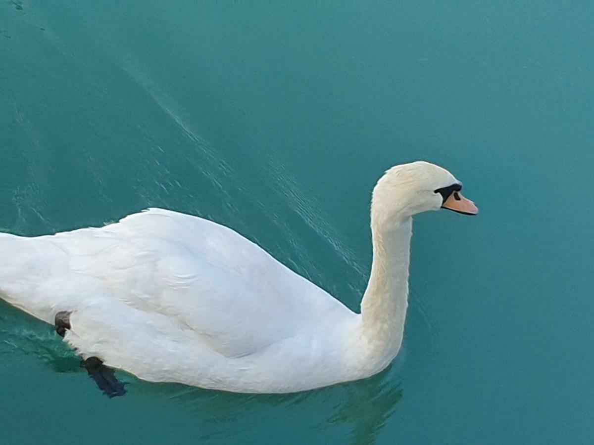 Apartament Garda Felice Desenzano del Garda Zewnętrze zdjęcie